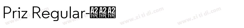 Priz Regular字体转换